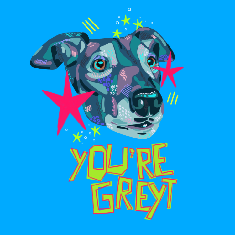 A stylized pop-art graphic of a dog's head in teal, purple, and gray tones with bright pink stars and yellow stars around it, above the text 'YOU'RE GREY' in yellow outlined letters on a bright blue background.